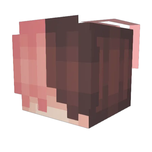 TonyTheTiger554 Minecraft avatar head, 3D render