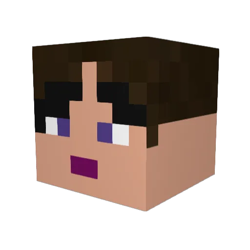 TonyTi Minecraft avatar head, 3D render