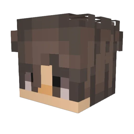 Tony_20xx Minecraft avatar head, 3D render