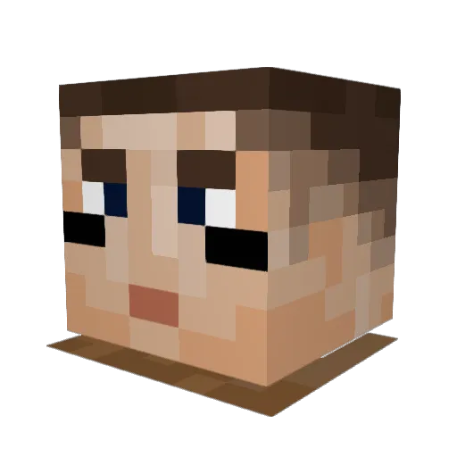 Tony_2_Shoes Minecraft avatar head, 3D render