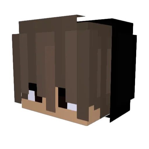 Tony_Frame_ Minecraft avatar head, 3D render
