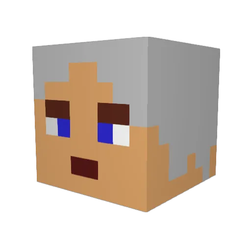 Tonyas_Hektor Minecraft avatar head, 3D render