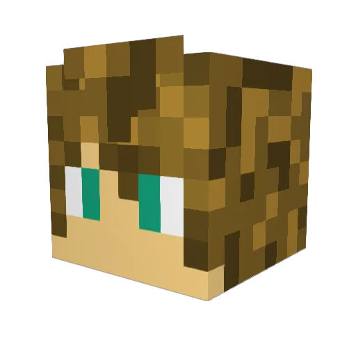 Tonybelol Minecraft avatar head, 3D render