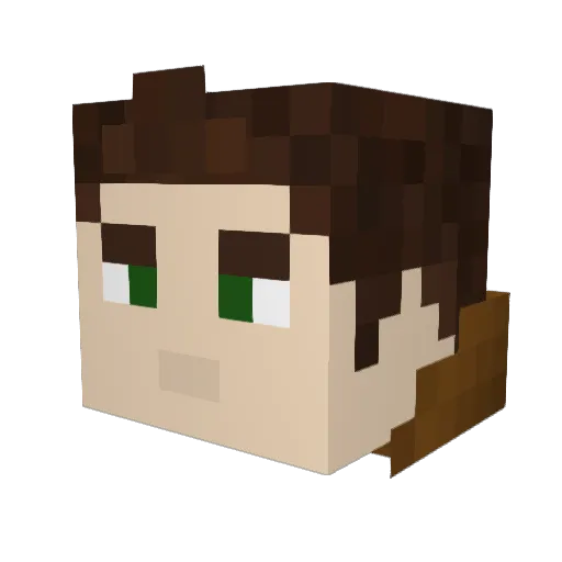 Tonyboy1516 Minecraft avatar head, 3D render