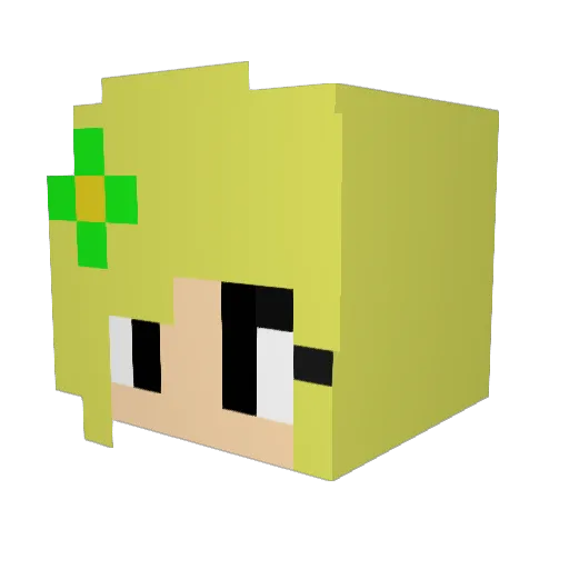 Tonyeah Minecraft avatar head, 3D render