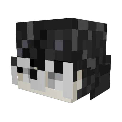 Tonyisbomb Minecraft avatar head, 3D render