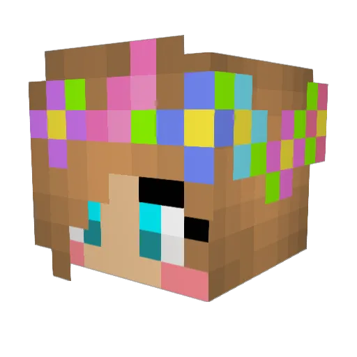 Tonymolo Minecraft avatar head, 3D render