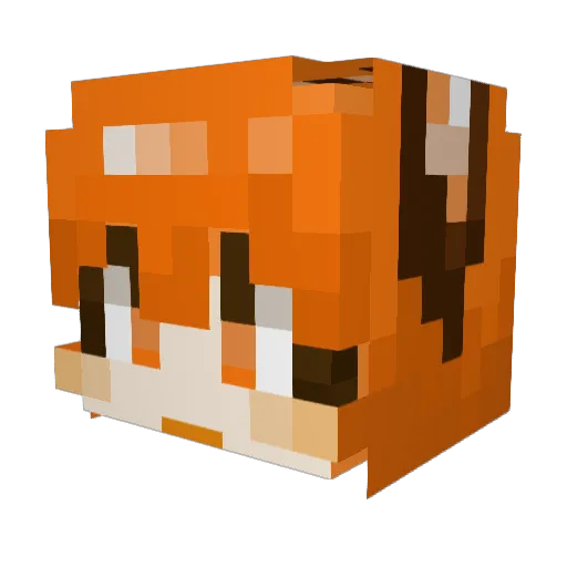 Tonymori Minecraft avatar head, 3D render