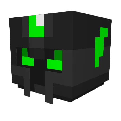 TonyonTT98 Minecraft avatar head, 3D render