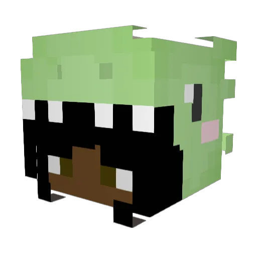 Tonytonitone120 Minecraft avatar head, 3D render