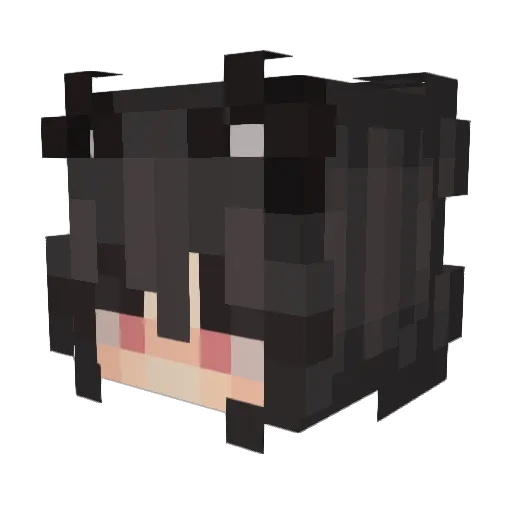 Tonz102 Minecraft avatar head, 3D render