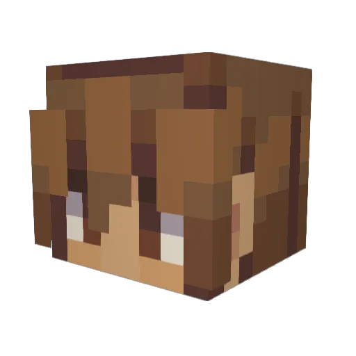 TooFactual08 Minecraft avatar head, 3D render
