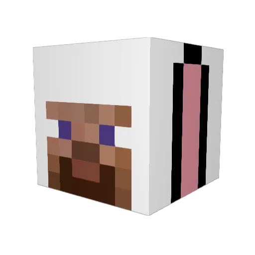 TooFastforSeth Minecraft avatar head, 3D render