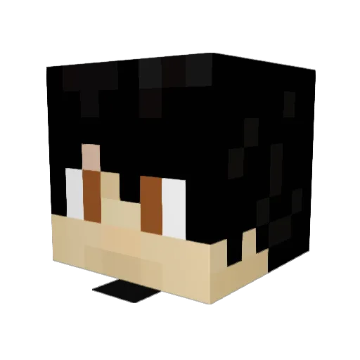 TooLateToHook Minecraft avatar head, 3D render