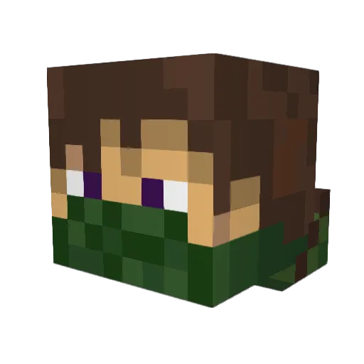TooLongPeen Minecraft avatar head, 3D render
