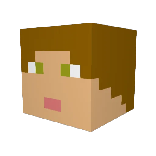 TooManyAnimals Minecraft avatar head, 3D render