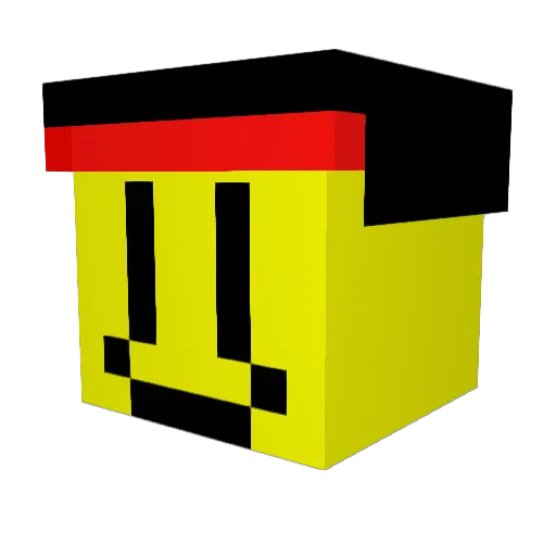 TooManyCats_2020 Minecraft avatar head, 3D render