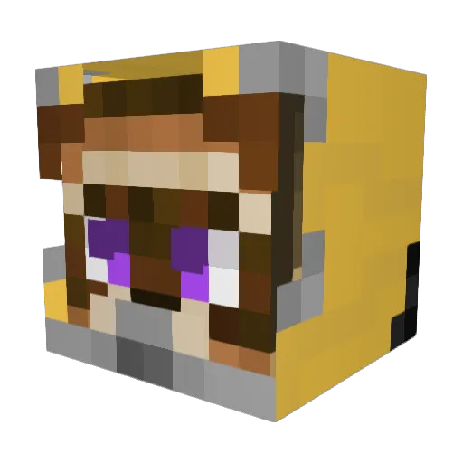 TooManyMedals Minecraft avatar head, 3D render