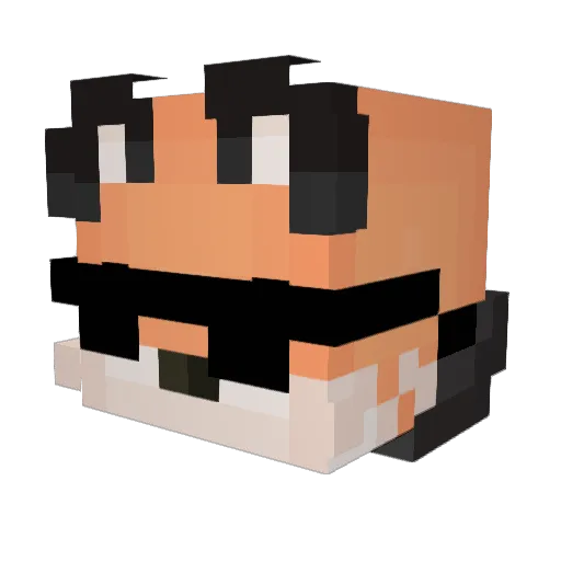 TooMuchFoxy Minecraft avatar head, 3D render