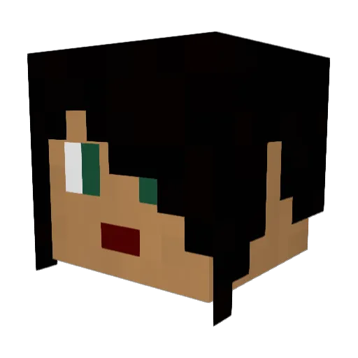 TooMuchVJK Minecraft avatar head, 3D render