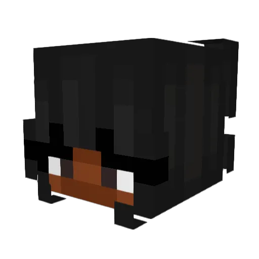 TooTiredToLive Minecraft avatar head, 3D render