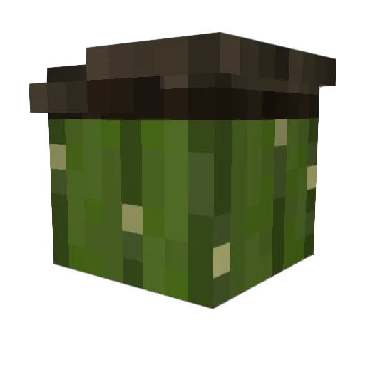 Too_Gone Minecraft avatar head, 3D render