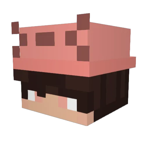 ToobValid Minecraft avatar head, 3D render