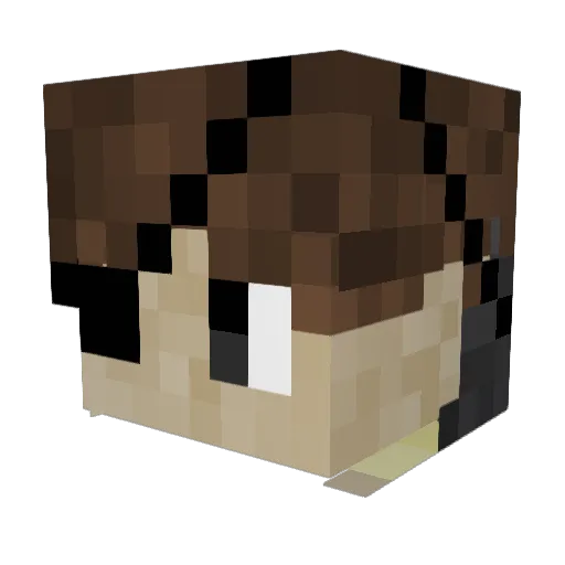 Toobaa Minecraft avatar head, 3D render