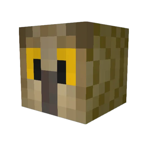 ToodlePip31 Minecraft avatar head, 3D render