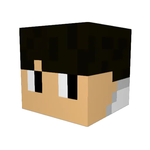 Toofyy11 Minecraft avatar head, 3D render