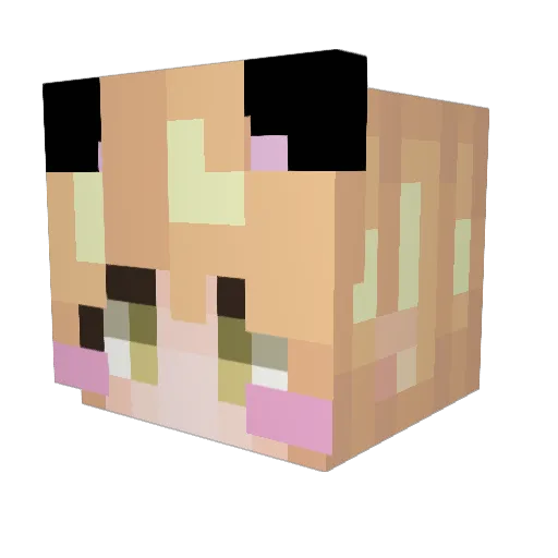 Tooju Minecraft avatar head, 3D render