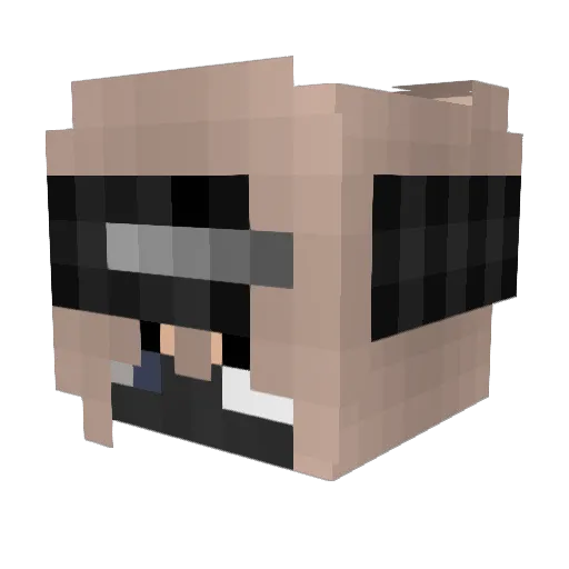 Tookah55 Minecraft avatar head, 3D render