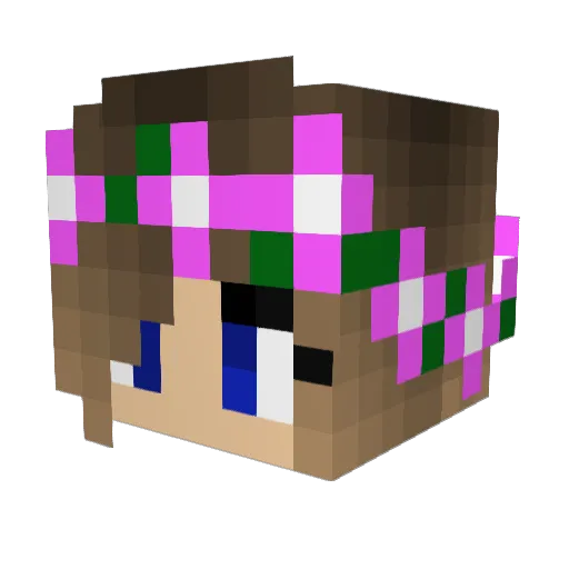 Tooke_092_ Minecraft avatar head, 3D render