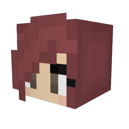 Tookims Minecraft avatar head, 3D render