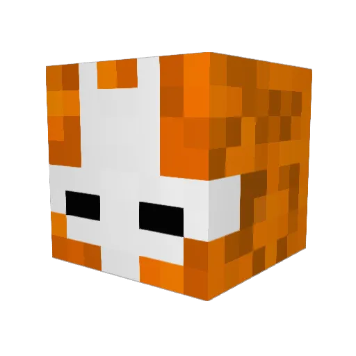 Toomanynamesss Minecraft avatar head, 3D render