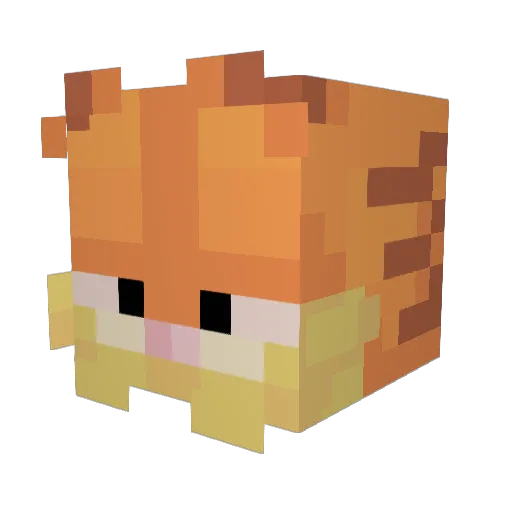 Toombo_T Minecraft avatar head, 3D render