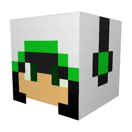 Toon17Linkxd Minecraft avatar head, 3D render