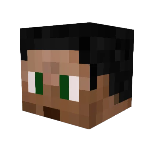 Toon800 Minecraft avatar head, 3D render