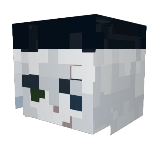 ToonFan2106 Minecraft avatar head, 3D render