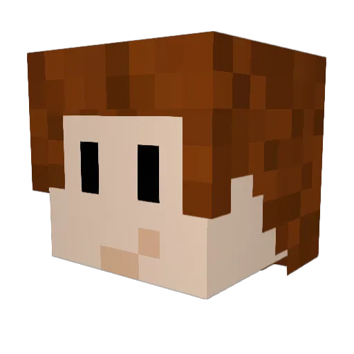 ToonNoah Minecraft avatar head, 3D render
