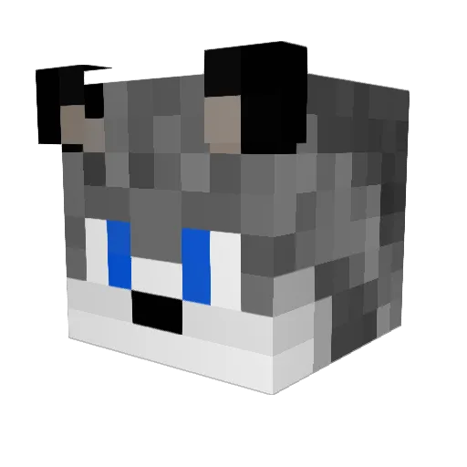 Toon_the_builder Minecraft avatar head, 3D render