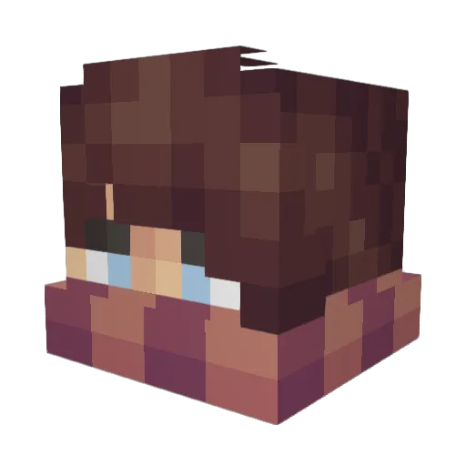 Toons_XD Minecraft avatar head, 3D render