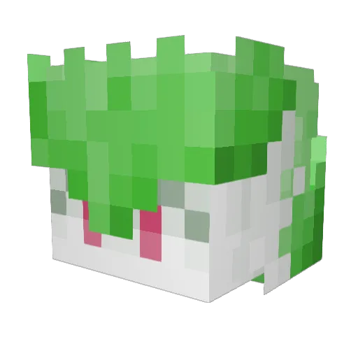 ToonyDreamer Minecraft avatar head, 3D render
