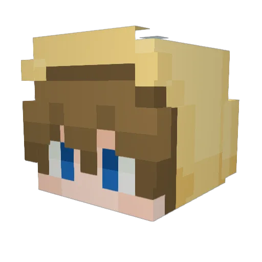 Toonywow Minecraft avatar head, 3D render