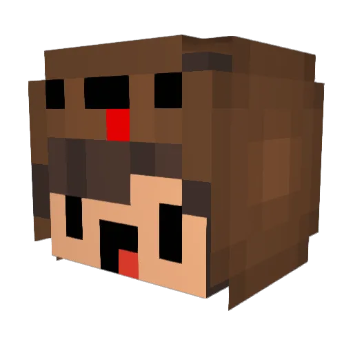 Tooobi206_YT Minecraft avatar head, 3D render