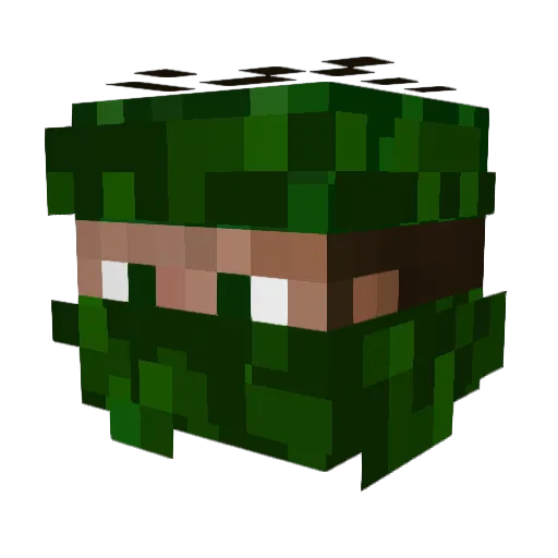 Tooomi Minecraft avatar head, 3D render