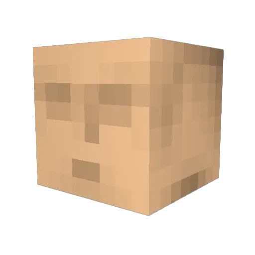 Toooonyman Minecraft avatar head, 3D render