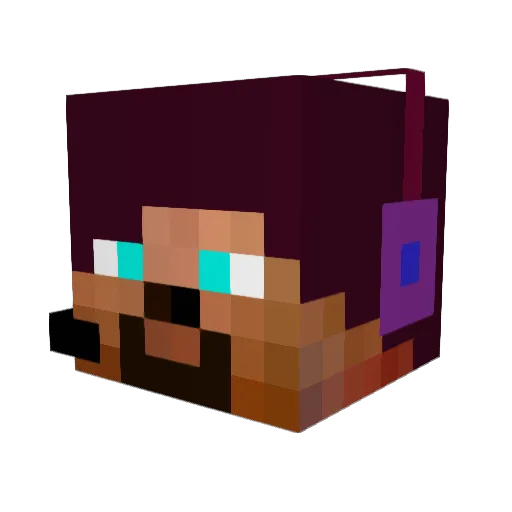 Toop4ok Minecraft avatar head, 3D render