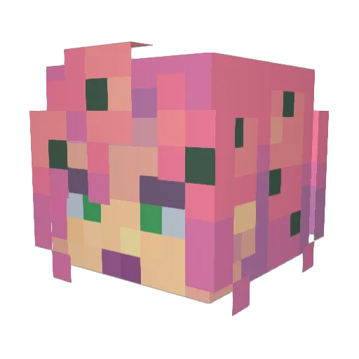Toopsi Minecraft avatar head, 3D render