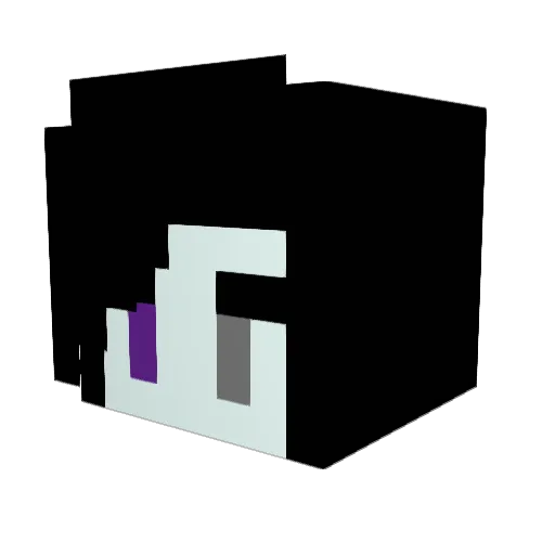 Toorbaan Minecraft avatar head, 3D render